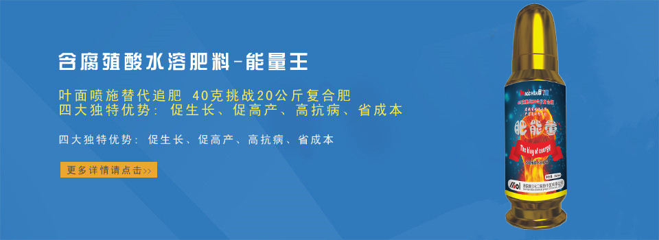 能量王 能量王