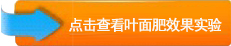 效果實(shí)驗(yàn)