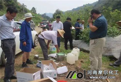 葉面追肥注意 葉面追肥注意