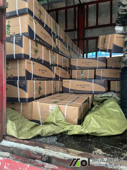 摩爾廠區頂雪極速發貨3 摩爾廠區頂雪極速發貨3